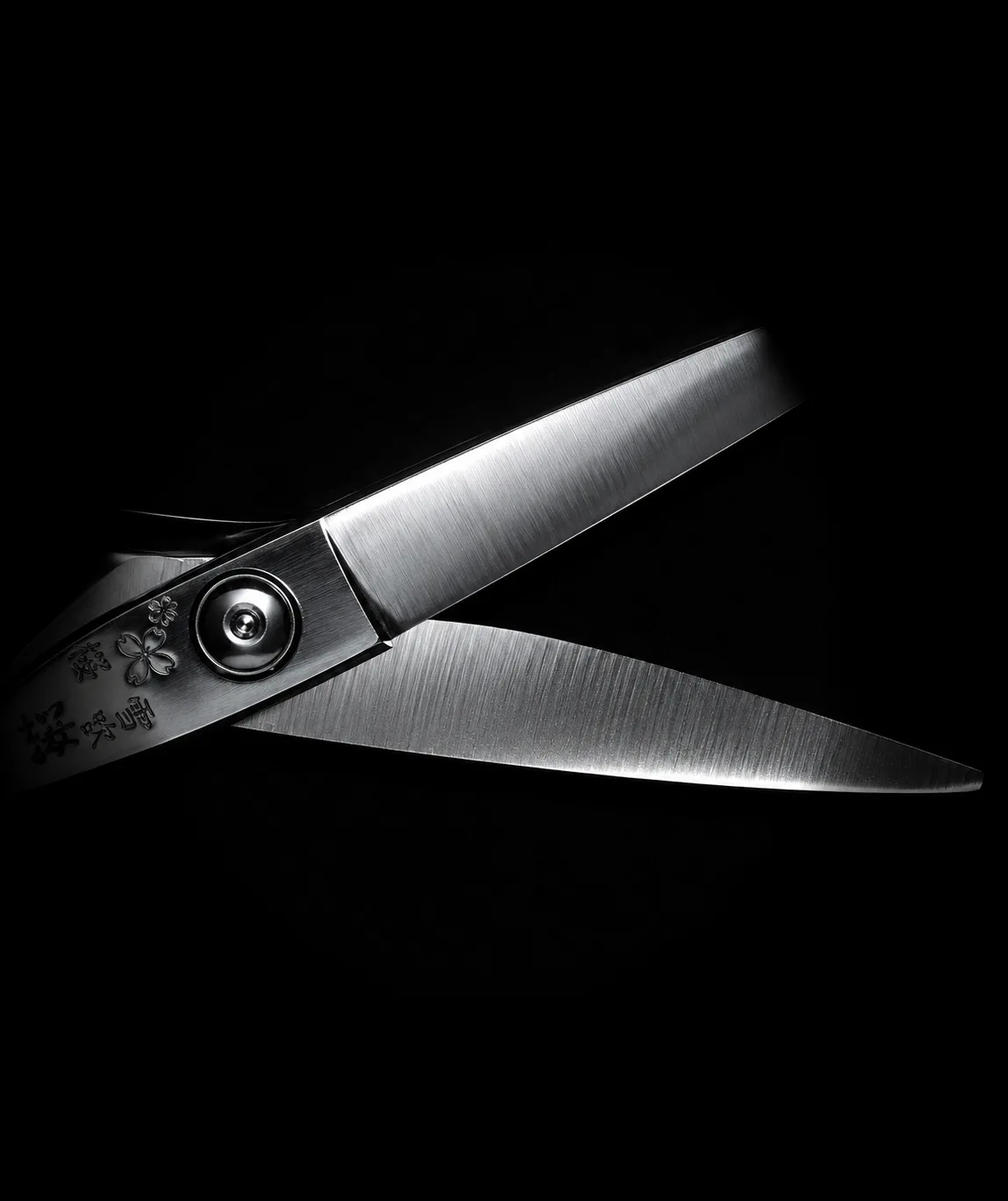 Precision cutting shears